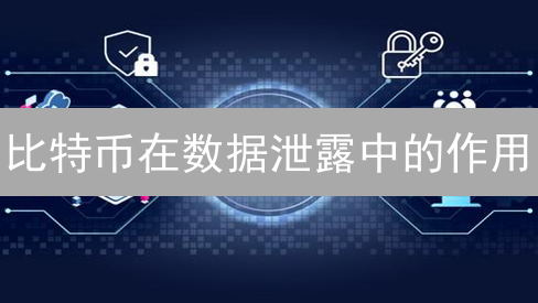 比特币在数据泄露中的作用：风险与潜力分析