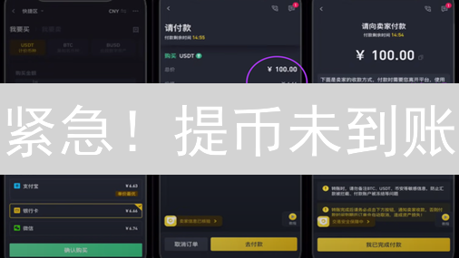 紧急！提币未到账？加密货币投资者必看自救指南！