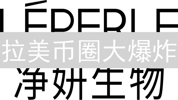 拉美币圈大爆炸：加密货币如何颠覆传统金融？