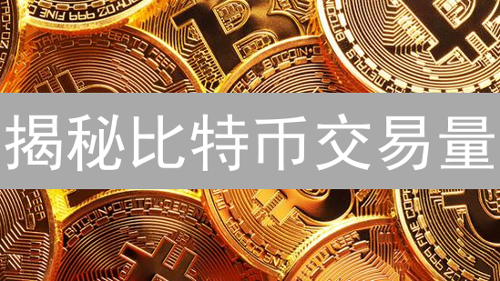 揭秘比特币交易量：一场关乎财富的数字游戏！