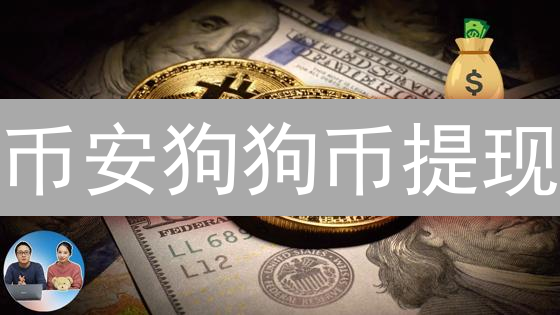 币安狗狗币提现：安全高效指南，新手也能轻松上手！