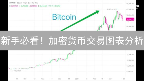 新手必看！加密货币交易图表分析：掌握趋势，降低风险！