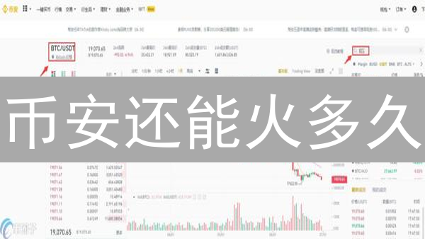 币安还能火多久？深度剖析币安交易平台，新手必看！