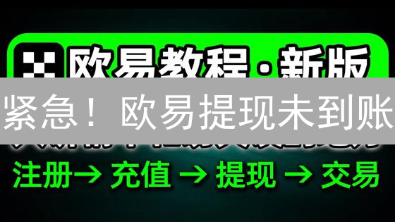紧急！欧易提现未到账？别慌，5招教你快速找回！
