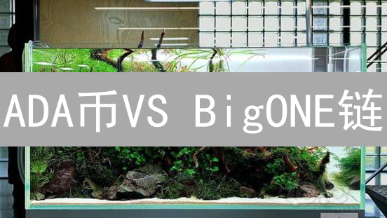ADA币VS BigONE链：谁是区块链的未来？【深度对比】