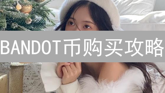 BANDOT币购买攻略：新手必看！交易所选择与交易技巧详解
