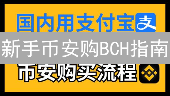 新手币安购BCH指南：避坑技巧与速成攻略，3分钟搞定！