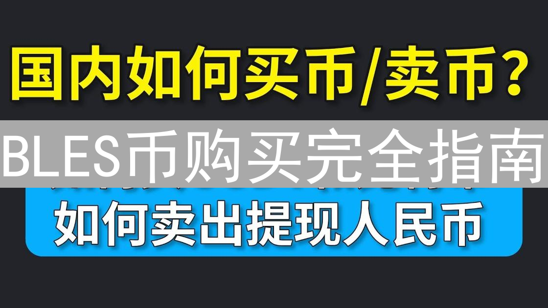 BLES币购买完全指南：新手入门与投资策略详解