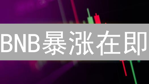 BNB暴涨在即？2024币安币价值深度解析与投资指南！