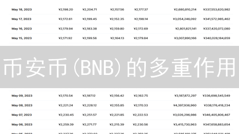 币安币(BNB)的多重作用：从手续费折扣到链上治理
