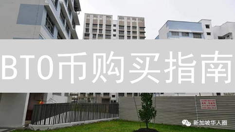BTO币购买指南：全面解析购买渠道与风险