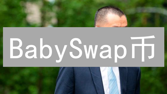 BabySwap币：特点、生态系统及BABY代币作用深度分析