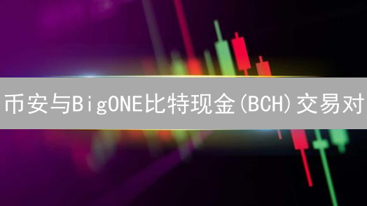 币安与BigONE比特现金(BCH)交易对：深度、流动性与价格差异分析