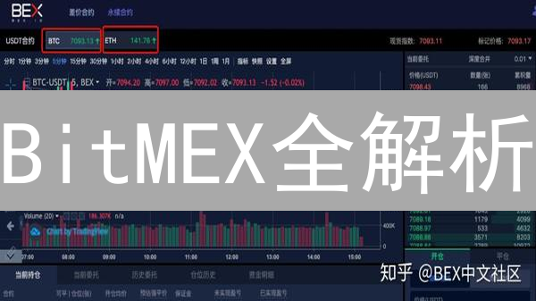 BitMEX全解析：高杠杆交易的机遇与风险【2024最新】