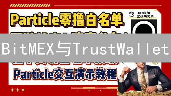 BitMEX与TrustWallet：安全高效数字资产管理方案