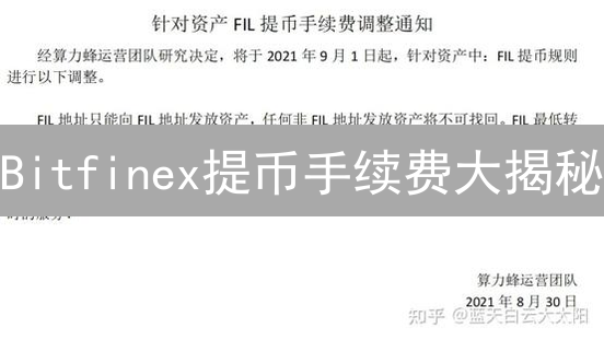 Bitfinex提币手续费大揭秘：省钱攻略在此！