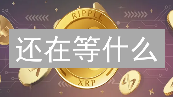 还在等什么？立即在Bitget上购买XRP！超简单教程