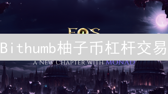 Bithumb柚子币杠杆交易：如何稳赚不赔？新手必看！