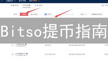 Bitso提币指南：避坑攻略，助您轻松提币【2024最新】