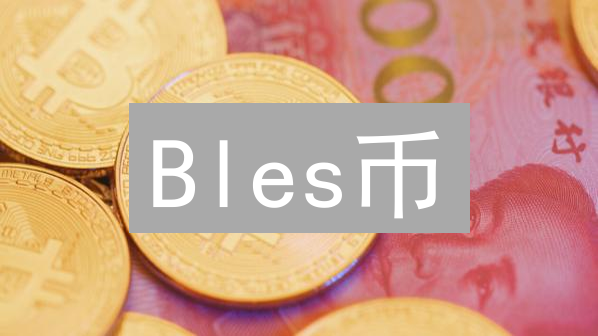 Bles币：下一个比特币？揭秘其崛起之路与投资风险！