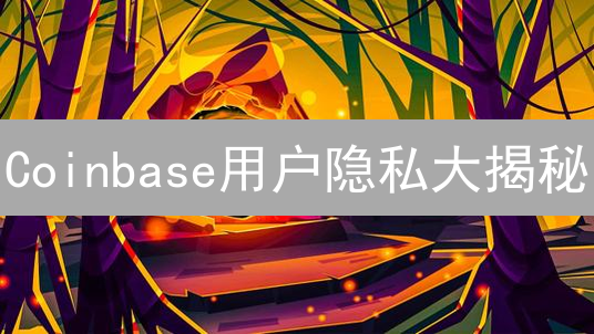 Coinbase用户隐私大揭秘：你的数据安全吗？【深度解析】