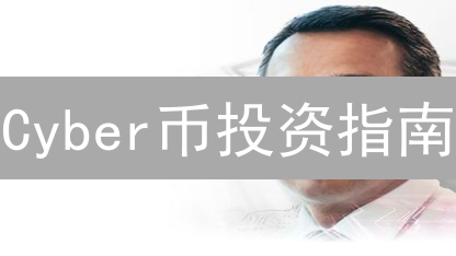 Cyber币投资指南：新手必看！抓住财富机遇？