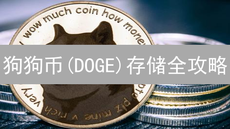 狗狗币(DOGE)存储全攻略：哪种钱包最安全？新手必看！