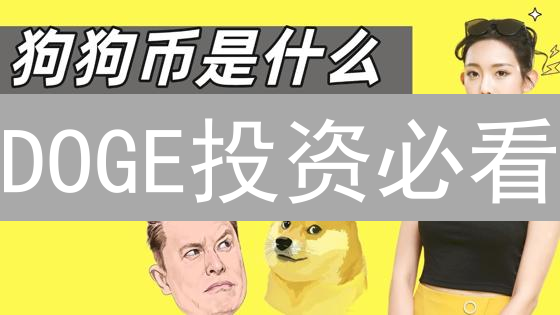 DOGE投资必看：五大交易所终极评测！选错你就亏大了！