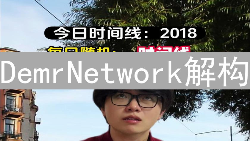 DemrNetwork解构：数据与信任交织的神秘网络