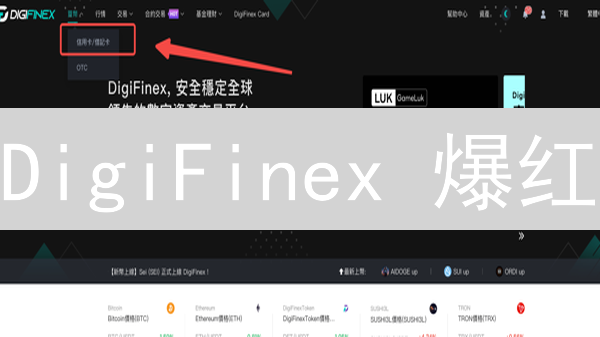 DigiFinex 爆红？揭秘全球数字资产交易平台成功秘诀！