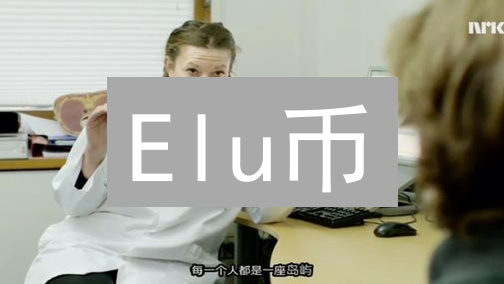 Elu币：解密迷雾中的加密新星 - 技术、价值与愿景