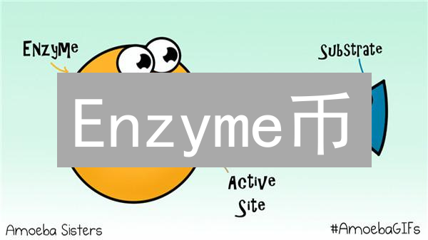 Enzyme币：去中心化资产管理协议详解与ENZ代币作用分析