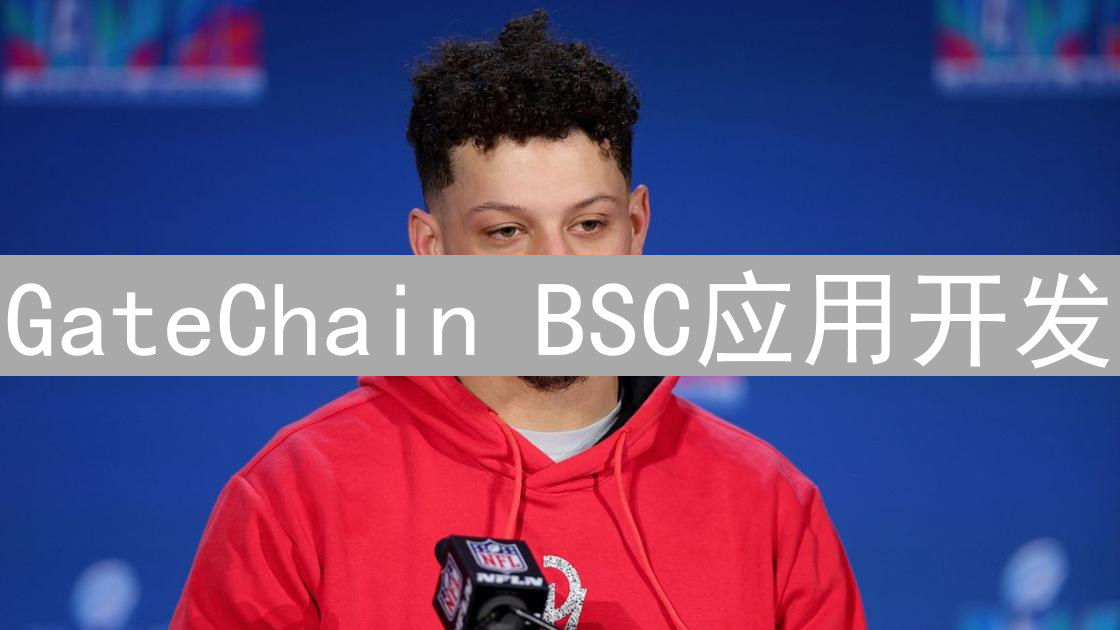 GateChain BSC应用开发：详细指南与实践