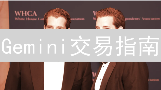 Gemini交易指南：3分钟掌握买卖技巧！