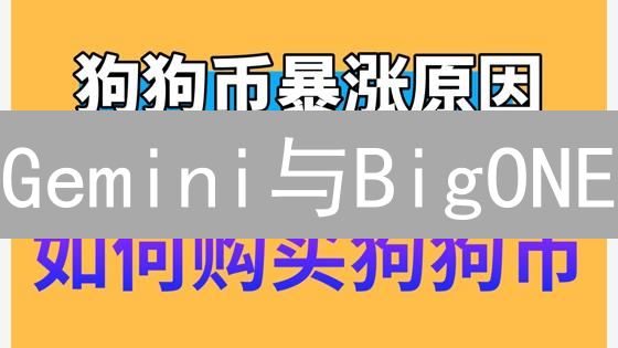 Gemini与BigONE：狗狗币交易策略与平台特性分析