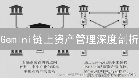 Gemini链上资产管理深度剖析：机遇与挑战并存？