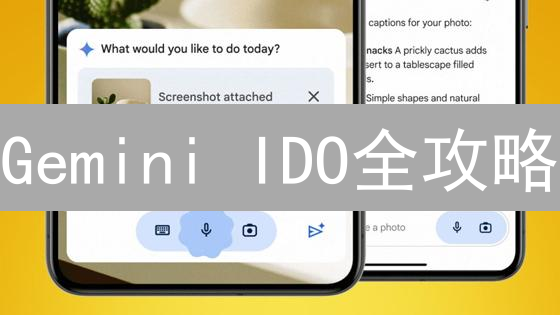 Gemini IDO全攻略：抓住新币先机，避开加密陷阱？