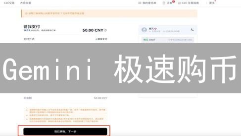 Gemini 极速购币：USDT 投资指南，新手也能轻松上手！