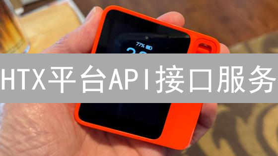 HTX平台API接口服务：技术剖析与应用前景展望