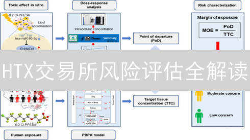 HTX交易所风险评估全解读：如何保障你的数字资产安全？