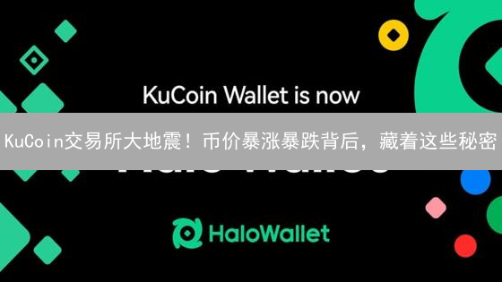 KuCoin交易所大地震！币价暴涨暴跌背后，藏着这些秘密？
