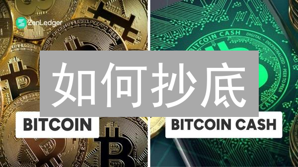 如何抄底？新手购买LYX币终极指南：必看！