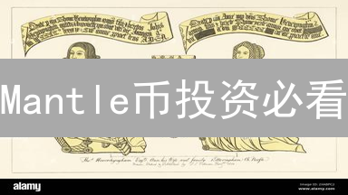 Mantle币投资必看：七大风险，你准备好了吗？