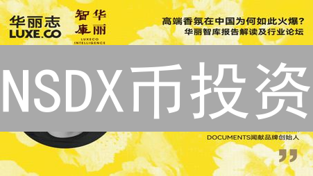 NSDX币投资？避坑指南：购买渠道 & 风险评估！