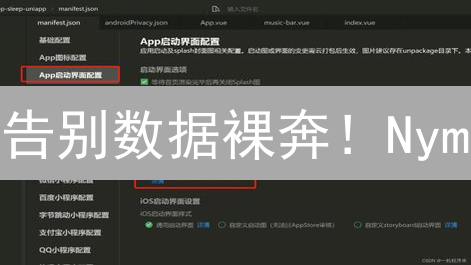 告别数据裸奔！Nym：下一代隐私网络，匿名上网终极指南？