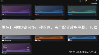 震惊！用OKX钱包多币种管理，资产配置效率竟提升10倍？