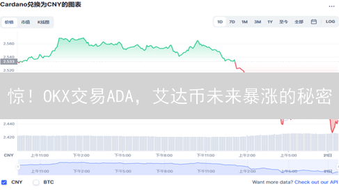 惊！OKX交易ADA，艾达币未来暴涨的秘密？优点缺点大揭秘！