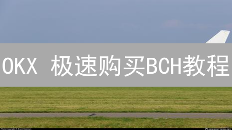 OKX 极速购买BCH教程：新手也能轻松上手！