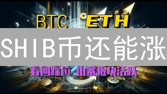 SHIB币还能涨？揭秘DogeKiller社区狂热内幕！