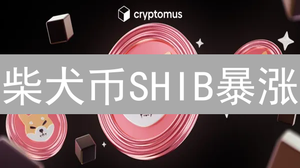 柴犬币SHIB暴涨？Gate.io投资质押，躺赚攻略！